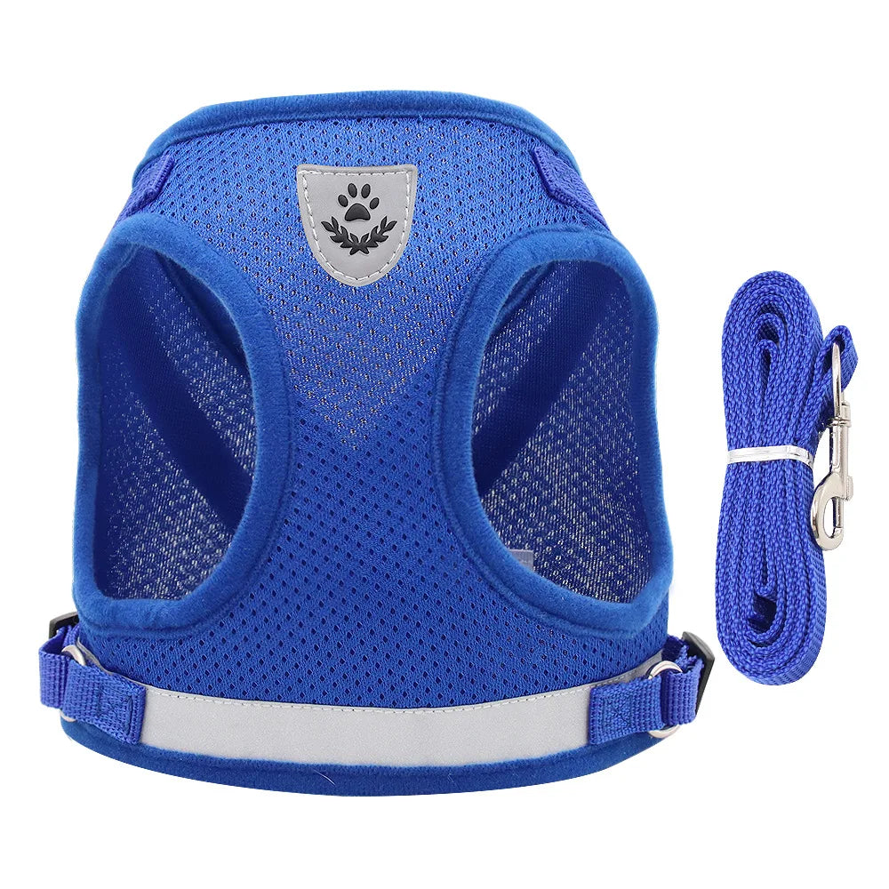 GoodPawls Adjustable Pet Harness and Leash Set