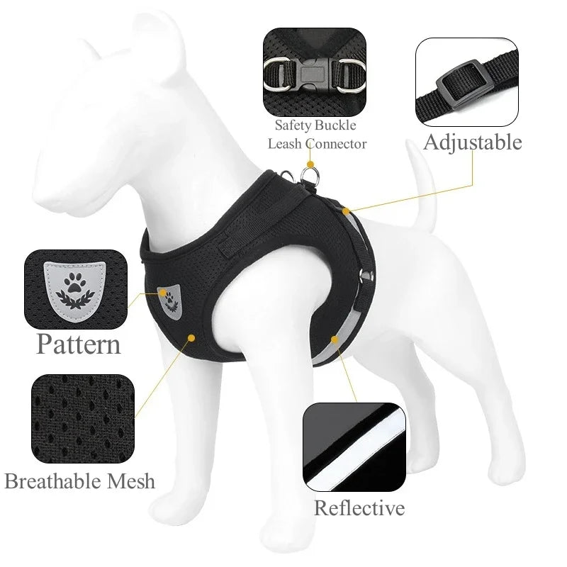 GoodPawls Adjustable Pet Harness and Leash Set