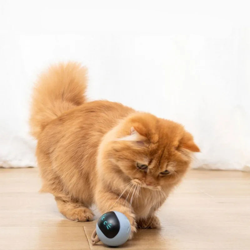 GoodPawls Smart Interactive LED Cat Toy
